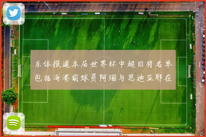 东体报道本届世界杯中超旧将名单包括海港前球员阿瑙与恩迪亚耶在内的10位球员